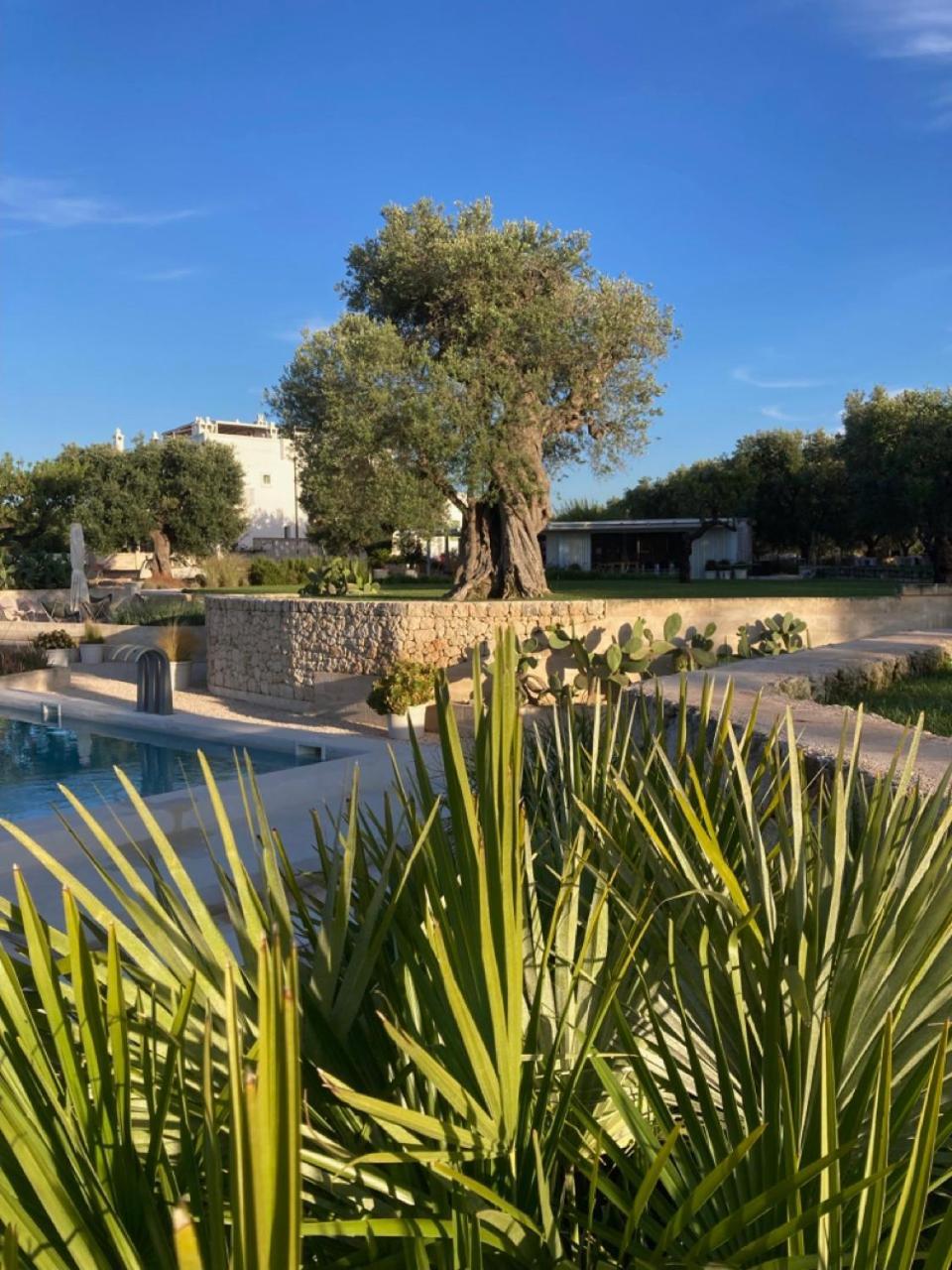 Boutique Hotel Masseria Sottomasi Savelletri Buitenkant foto